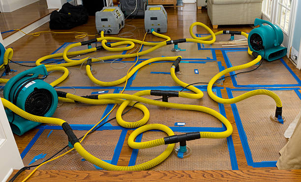 Professional Water Extraction technician working in Sharps Chapel, TN